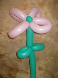 Basic balloon flower