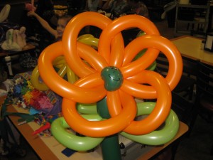 Large, multiple balloon flower